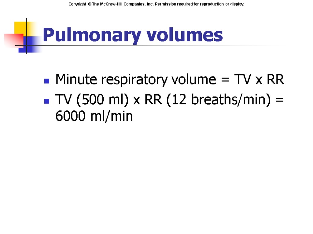 Pulmonary volumes Minute respiratory volume = TV x RR TV (500 ml) x RR